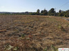 Ma-Cabane - Vente Terrain BOUZON GELLENAVE, 2500 m²