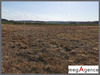 Ma-Cabane - Vente Terrain BOUZON GELLENAVE, 2500 m²