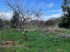 Ma-Cabane - Vente Terrain Brannay, 1074 m²