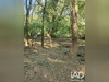 Ma-Cabane - Vente Terrain Bras, 3288 m²
