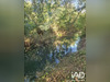 Ma-Cabane - Vente Terrain Bras, 3288 m²