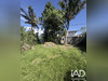 Ma-Cabane - Vente Terrain Bras-Panon, 240 m²