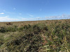 Ma-Cabane - Vente Terrain BRAUD ET SAINT LOUIS, 100070 m²
