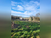 Ma-Cabane - Vente Terrain Braye-sur-Maulne, 8880 m²