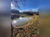 Ma-Cabane - Vente Terrain Braye-sur-Maulne, 8880 m²