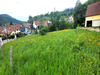 Ma-Cabane - Vente Terrain Breitenbach-Haut-Rhin, 1506 m²