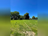 Ma-Cabane - Vente Terrain BRESSOLS, 1954 m²