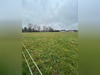 Ma-Cabane - Vente Terrain Briel-sur-Barse, 6907 m²