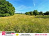 Ma-Cabane - Vente Terrain BRINAY, 1242 m²