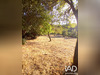 Ma-Cabane - Vente Terrain Buis-les-Baronnies, 3230 m²