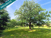 Ma-Cabane - Vente Terrain Buzet-sur-Tarn, 1287 m²
