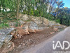 Ma-Cabane - Vente Terrain Cabrerolles, 1252 m²