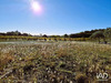 Ma-Cabane - Vente Terrain Cabrerolles, 471 m²