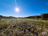Ma-Cabane - Vente Terrain Cabrerolles, 471 m²