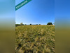 Ma-Cabane - Vente Terrain Cagnac-les-Mines, 2500 m²