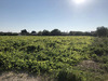 Ma-Cabane - Vente Terrain Camaret-sur-Aigues, 228 m²