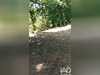 Ma-Cabane - Vente Terrain Camplong, 4740 m²