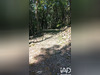 Ma-Cabane - Vente Terrain Camplong, 4740 m²