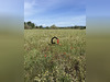 Ma-Cabane - Vente Terrain Canet, 6900 m²
