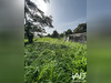 Ma-Cabane - Vente Terrain Capesterre-Belle-Eau, 1250 m²