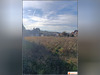 Ma-Cabane - Vente Terrain Cappy, 826 m²