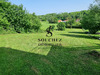 Ma-Cabane - Vente Terrain Carency, 1300 m²
