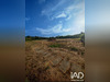 Ma-Cabane - Vente Terrain Carnoules, 6413 m²