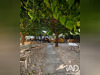 Ma-Cabane - Vente Terrain Carnoules, 6413 m²