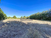 Ma-Cabane - Vente Terrain CARPENTRAS, 400 m²