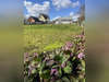 Ma-Cabane - Vente Terrain Carspach, 1197 m²