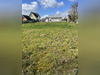 Ma-Cabane - Vente Terrain Carspach, 1197 m²