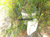 Ma-Cabane - Vente Terrain CASE PILOTE, 570 m²