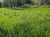 Ma-Cabane - Vente Terrain CASSAGNOLES, 892 m²