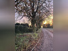 Ma-Cabane - Vente Terrain Cassel, 6000 m²