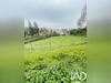 Ma-Cabane - Vente Terrain Cassel, 1750 m²