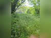 Ma-Cabane - Vente Terrain Castelginest, 480 m²
