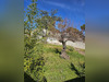 Ma-Cabane - Vente Terrain CASTELNAU-LE-LEZ, 518 m²