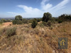 Ma-Cabane - Vente Terrain CASTELNOU, 11920 m²