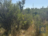 Ma-Cabane - Vente Terrain CASTELNOU, 18953 m²