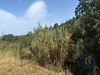 Ma-Cabane - Vente Terrain CASTELNOU, 18953 m²