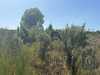 Ma-Cabane - Vente Terrain CASTELNOU, 9780 m²