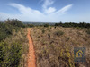 Ma-Cabane - Vente Terrain CASTELNOU, 7690 m²