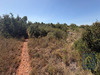 Ma-Cabane - Vente Terrain CASTELNOU, 7690 m²