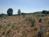Ma-Cabane - Vente Terrain CASTELNOU, 19890 m²