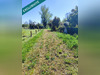 Ma-Cabane - Vente Terrain Castelsarrasin, 4000 m²