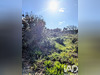 Ma-Cabane - Vente Terrain Castillon-du-Gard, 4880 m²