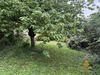 Ma-Cabane - Vente Terrain Caudry, 563 m²