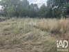 Ma-Cabane - Vente Terrain Causse-Et-Diège, 924 m²