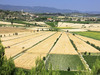 Ma-Cabane - Vente Terrain CAZOULS LES BEZIERS, 654 m²