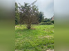Ma-Cabane - Vente Terrain CELY, 2770 m²